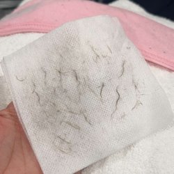 Philocaly - Peach fuzz all gone!