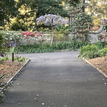 Royal Botanic Gardens - Spring garden - Botanical Gardens Near Me - Sydney, NSW Royal Botanic Gardens - Spring garden - Botanical Gardens Near Me - Sydney, NSW