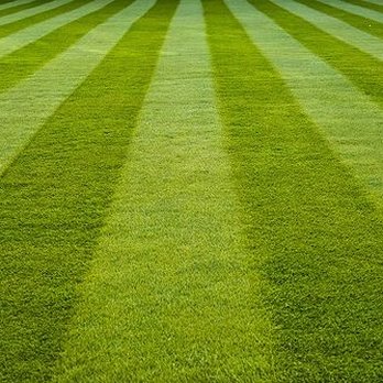 Thorman Lawn Care & Home Services - a freshly mowed lawn - Lawn Services Near Me Thorman Lawn Care & Home Services - a freshly mowed lawn - Lawn Services Near Me