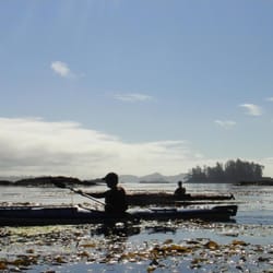 Tofino Sea Kayaking - A wide range of shorelines to explore.