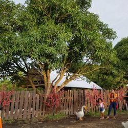 Jardin Necitas