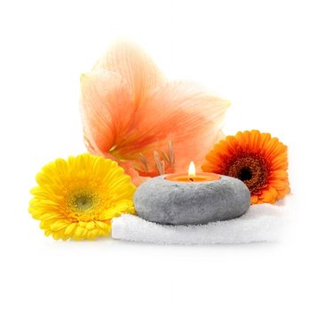 BBWax - Best Brazilian Wax - Waxing Near Me - Boca Raton, Florida BBWax - Best Brazilian Wax - Waxing Near Me - Boca Raton, Florida