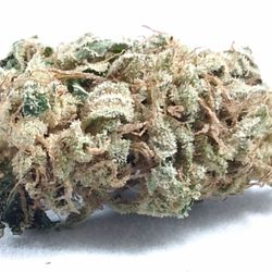 Virginia Cultivars - Indoor Premium CBD Hemp Flower