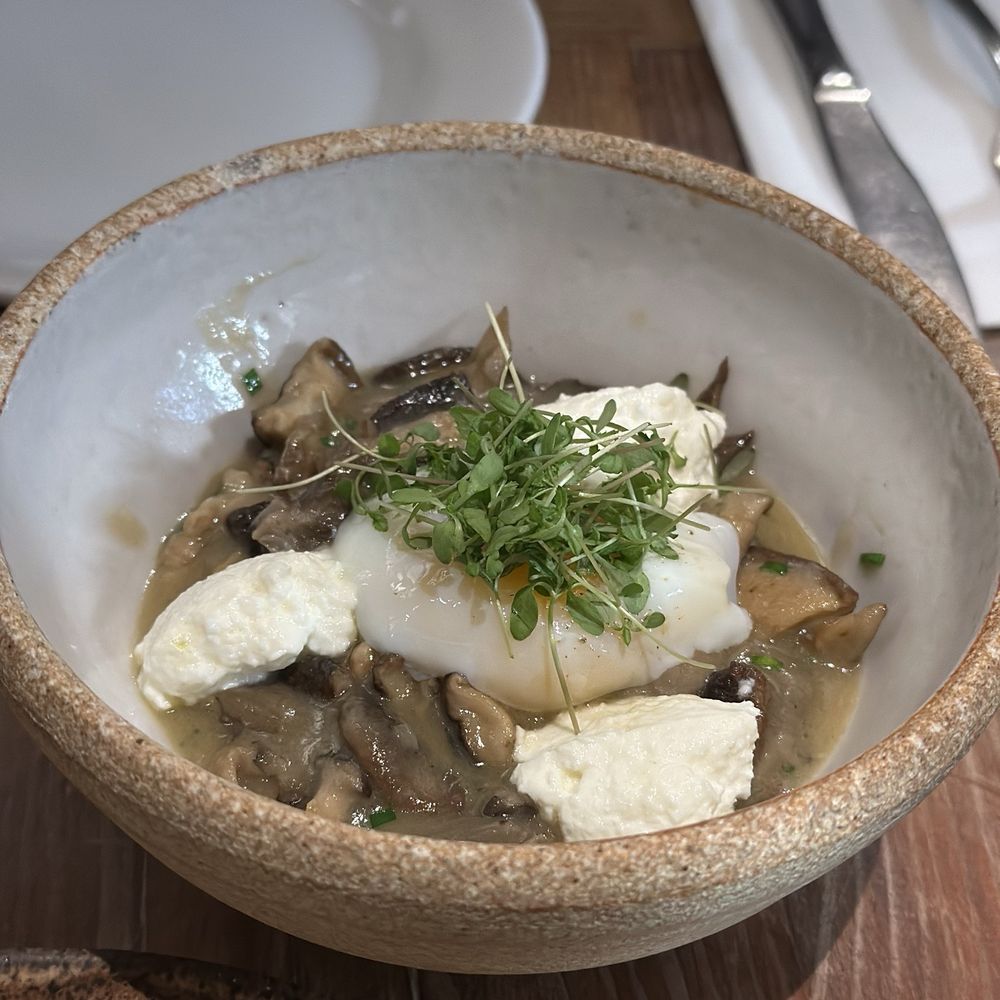 Foraged. A Hyper Seasonal Eatery - Mushroom stew - New American Near Me - Baltimore, Maryland Foraged. A Hyper Seasonal Eatery - Mushroom stew - New American Near Me - Baltimore, Maryland
