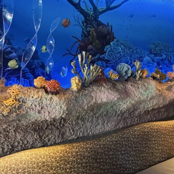 Aquarium Restaurant - Seafood Near Me - Houston, Texas Aquarium Restaurant - Seafood Near Me - Houston, Texas