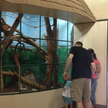 Miller Park Zoo - Zoos Near Me - Bloomington, Illinois Miller Park Zoo - Zoos Near Me - Bloomington, Illinois