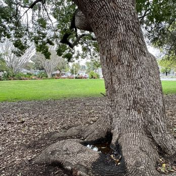 Washington Park - Parks Near Me - Sunnyvale, California Washington Park - Parks Near Me - Sunnyvale, California
