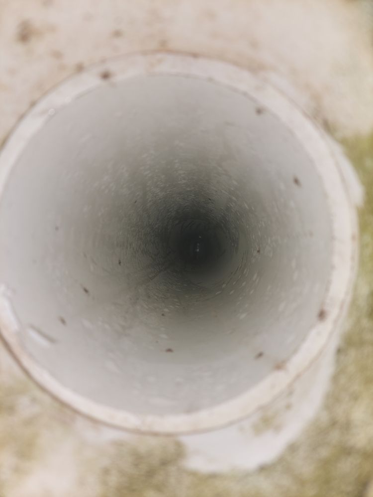 Slide of Promaster service