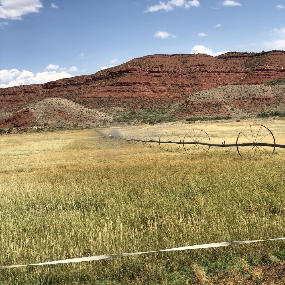 River Grill Restaurant - American Near Me - Moab, Utah River Grill Restaurant - American Near Me - Moab, Utah