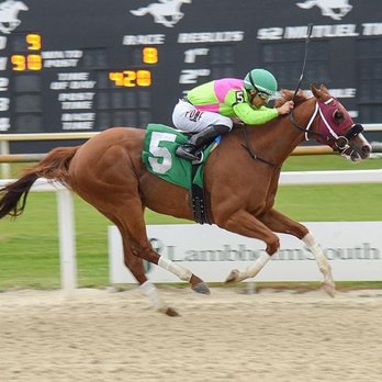 Tampa Bay Downs - Casinos Near Me - Tampa, Florida Tampa Bay Downs - Casinos Near Me - Tampa, Florida