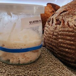 Heritage Rise Sourdough