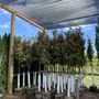 Photo of Urban Forest Nursery, Inc