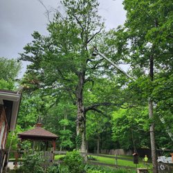 M Reyes Tree Services