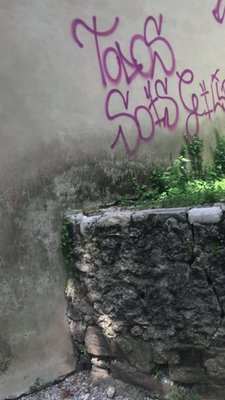 Castello di Udine by null