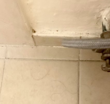 Oaxaca Real Hotel by null