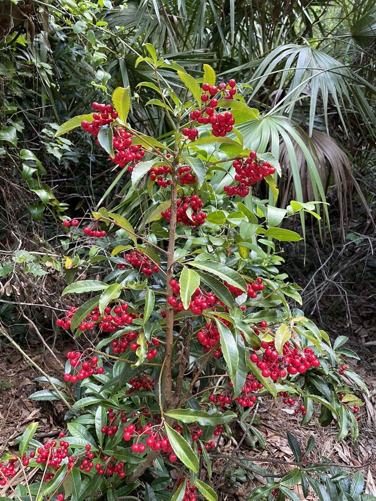 SAN PEDRO CENTER 28 Photos 2400 Dike Rd, Winter Park, Florida