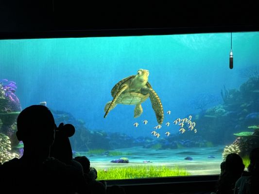 Turtle Talk with Crush by null