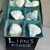 North Asheville Tailgate Market gift card