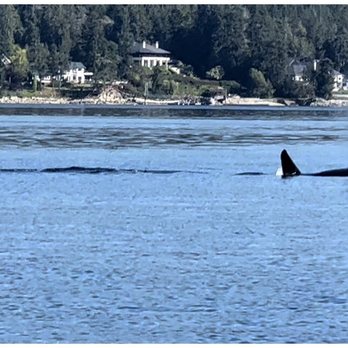 Outer Island Expeditions - Fishing Near Me - Eastsound, Washington