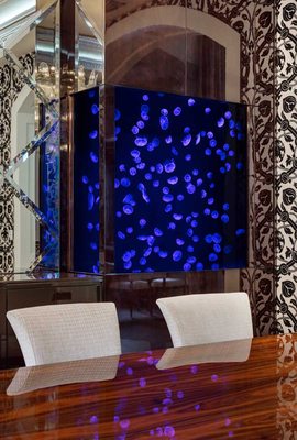 Jellyfish Art by null