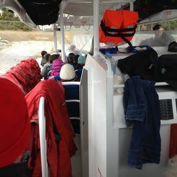 Bruny Island Cruises - Travel Services Near Me - Hobart, TAS