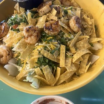 Fuzzy's Taco Shop - Grilled Shrimp OS Salad - Tex-Mex Near Me - Lutz, Florida