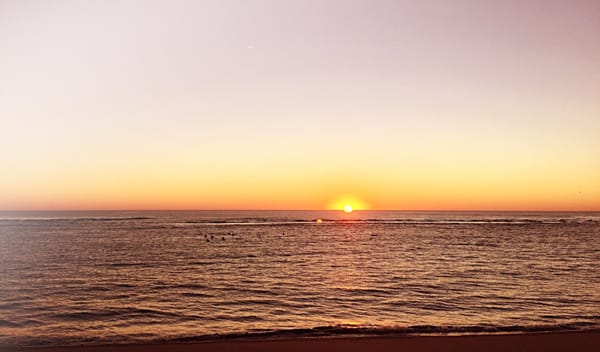 Coast Guard Beach by null