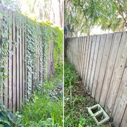 The Diligent Gardener - Vine removal from fence