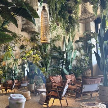 Phin Coffee House - Coffee & Tea Near Me - National City, California Phin Coffee House - Coffee & Tea Near Me - National City, California