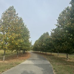Legacy Trail