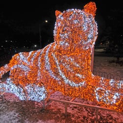 Christie Pits Tiger - El tigre