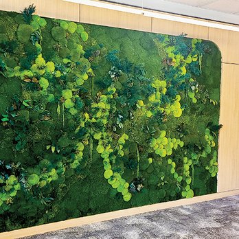 Articulture Designs - Preserved Moss Wall. No maintenance required. - Interior Design Near Me - Austin, Texas Articulture Designs - Preserved Moss Wall. No maintenance required. - Interior Design Near Me - Austin, Texas