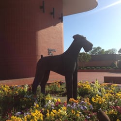 Skokos Performing Arts Center - Alma Airedale statue.