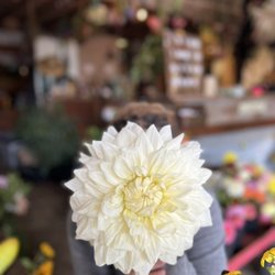 Evergreen Flower Farm