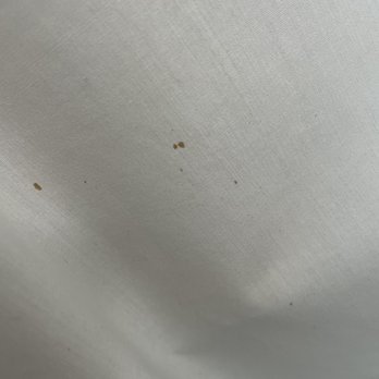 Ecohanger Cleaners - Dirty splashes from probably an Iron - Sewing & Alterations Near Me - Hallandale Beach, Florida Ecohanger Cleaners - Dirty splashes from probably an Iron - Sewing & Alterations Near Me - Hallandale Beach, Florida