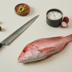 Shiki Omakase