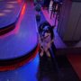 Photo of Napalese Lounge