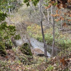 Chitactac-Adams County Park
