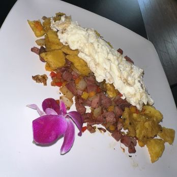 Eleven80 - Tropical - Breakfast & Brunch Near Me - Tampa Bay, Florida