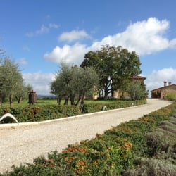 Il Castagno