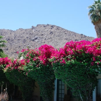 Casa Cody - Hotels Near Me - Palm Springs, California Casa Cody - Hotels Near Me - Palm Springs, California