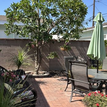 Pearloga Tree service - Orange tree after! - Tree Services Near Me Pearloga Tree service - Orange tree after! - Tree Services Near Me