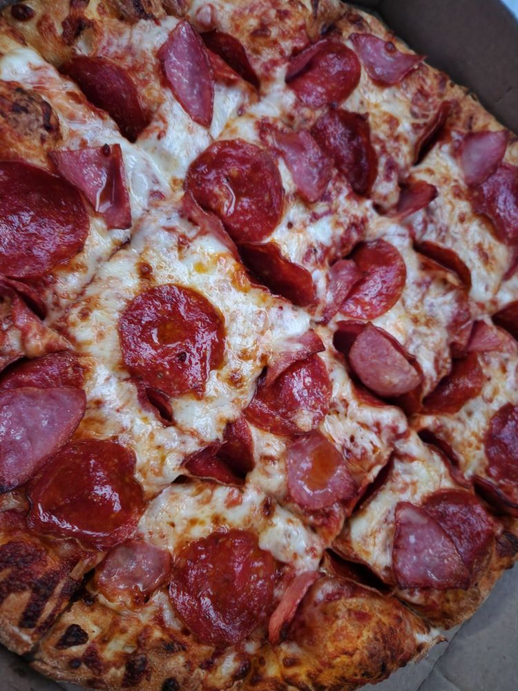 Domino’s Pizza Logo