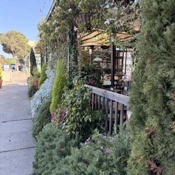 Cesarina - Italian Near Me - San Diego, California