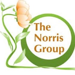 The Norris Group - Marketing, Graphic Design and Web Development
