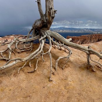 Inspiration Point - Hiking Near Me - Bryce, Utah Inspiration Point - Hiking Near Me - Bryce, Utah