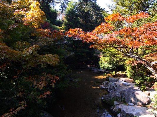 Momijidani Park by null