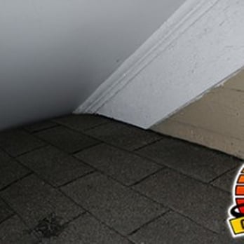 Crocodile Dave - After. The door is closed! - Pest Control Near Me - Tucker, Georgia Crocodile Dave - After. The door is closed! - Pest Control Near Me - Tucker, Georgia