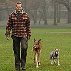Hundeschule Lars Thiemann Berlin