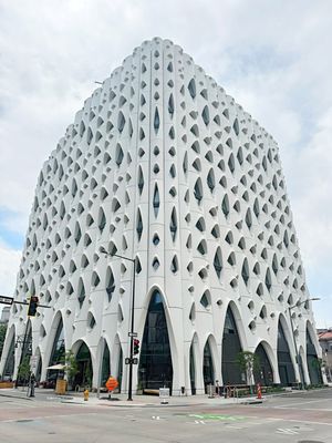 Populus by null